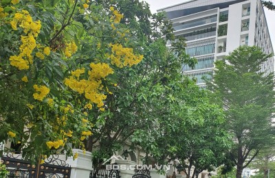 Bán nhà phố 6m x 19m có tầng hầm khu Cityland Garden hills, Q. Gò Vấp, TP.HCM